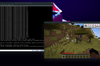 Создам сервер для Minecraft и Minecraft PE + авто-донат