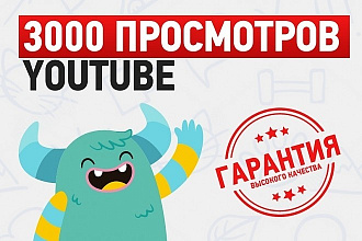 +3000 просмотров на ваше видео