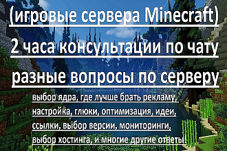 Проконсультирую по чату про игровой сервер 2 часа