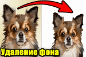 Удаление фона с картинки