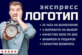 Экспресс логотип. 24 ч. на выполнение. 4 варианта. Фавикон в подарок