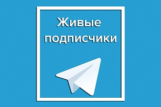 2000 живых подписчиков на канал в телеграм за 5 часов