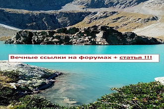 Ручное размещение ссылок в тематических статьях на форумах плюс статья