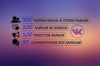 300 Подписчиков ВК и Бонус 50 лайков на запись