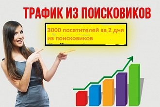 3000 посетителей НА САЙТ ЗА 2 ДНЯ ИЗ поисковиков, ПО ключевым запросам
