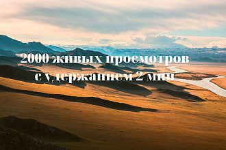 2000 живых просмотров с удержанием 2 мин на YouTube