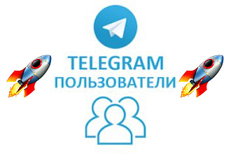 2 000 подписчиков Telegram за 2 часа