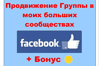 Продвижение группы в Фейсбуке - Публикация в моих жирных сообществах