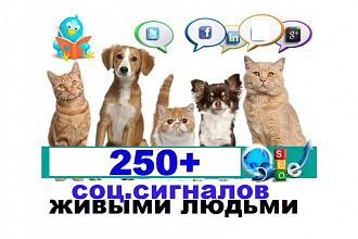 250 соц. сигналов с вашего сайта живыми людьми