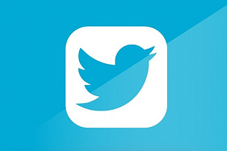 1700 подписчиков в Ваш аккаунт Twitter