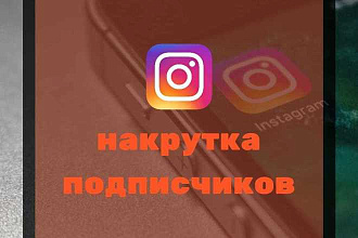 Подписчики в Инстаграм