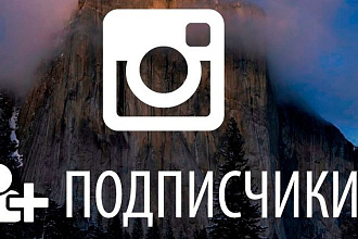Подписчики instagram