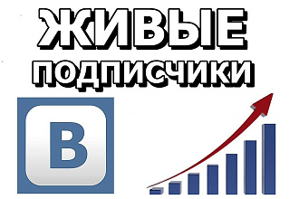 Привлеку 200 участников по критериям в группу Вконтакте