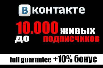 Вконтакте 500 подписчиков живые качество нет списаний 10 % бонус