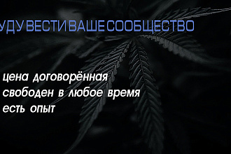 Буду вести ваше сообщество