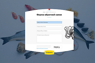 Установлю форму обратной связи