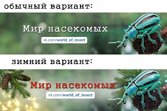 Сделаю обложку для группы Вконтакте