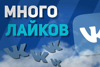 1100 лайков в ВК , за скромную сумму 399р