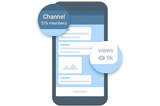 1555 подписчиков в Telegram канал