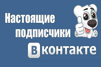 Добавлю реальных подписчиков