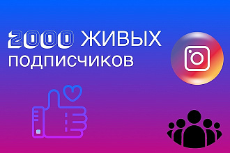 2000 живых подписчиков Инстаграм