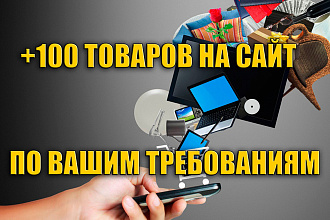 Добавлю 100 товаров на сайт качественно