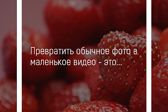 Три мини-видео на базе фото для соцсетей