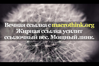 Мощная ссылка с сайта macrothink.org