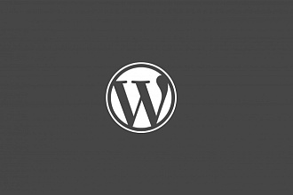 Сделаю 1 правку на wordpress сайте