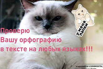 Проверю вашу орфографию в тексте на любых языках
