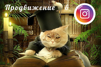 Создам Instagram сообщество