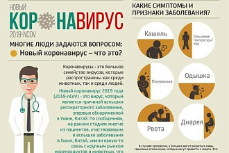 Разработаю презентацию в MS PowerPoint и PDF