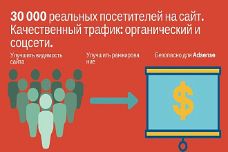 Более 30000 реальных посетителей из поисковых систем и соцсетей