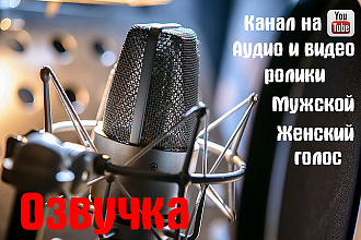 Озвучка текста с обработкой под ключ
