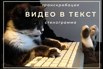 Видео в аудио