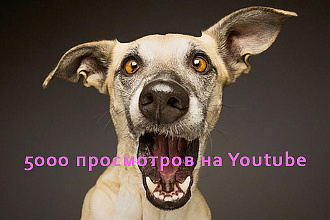 5000 просмотров на Youtube