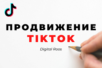 Продвижение в TikTok. Целевая, активная аудитория