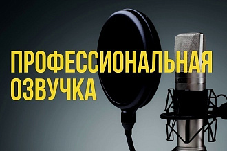 15 минут профессиональной озвучки текста за 1 услуга