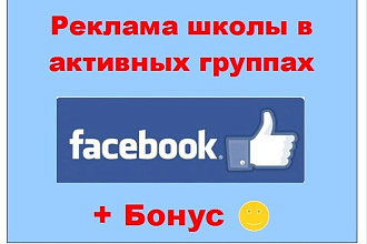 Реклама школы в Facebook через размещение в моих активных группах