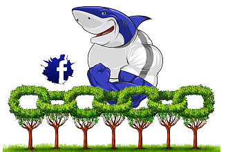 15.000 соц сигналов Facebook + Бонус 4.000 вечных обратных ссылок
