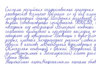 Сделаю интро перевод текстов логотипы визитки