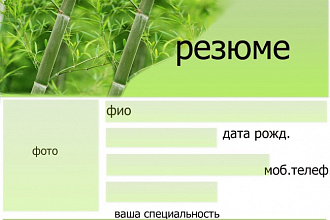 Составлю грамотное резюме