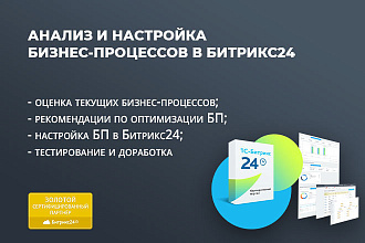 Проведу анализ и настрою бизнес-процессы в Битрикс24