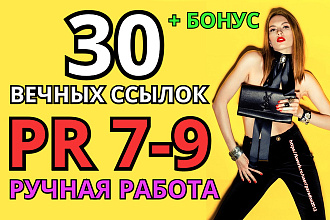 30 вечных ссылок с Google page rank, вывод в топ, ручная работа+бонус