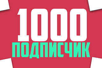 1000 живых подписчиков ВК можно на две группы по цене одной