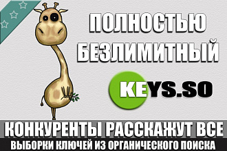 Поисковые запросы конкурентов от Жирафика из keys. so