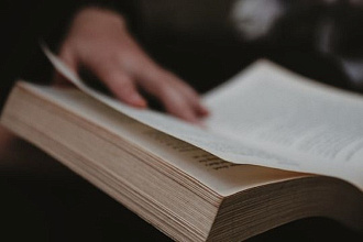 Интересные посты для вашей ленты в Instagram
