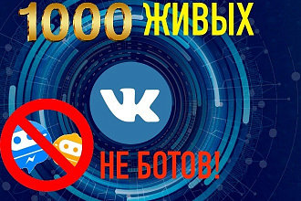 1000 ЖИВЫХ подписчиков ВКонтакте