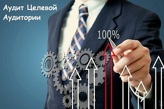Экспресс Аудит Целевой Аудитории