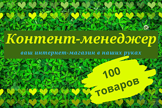 Наполнение контентом. Товары для вашего интернет-магазина. 100 позиций